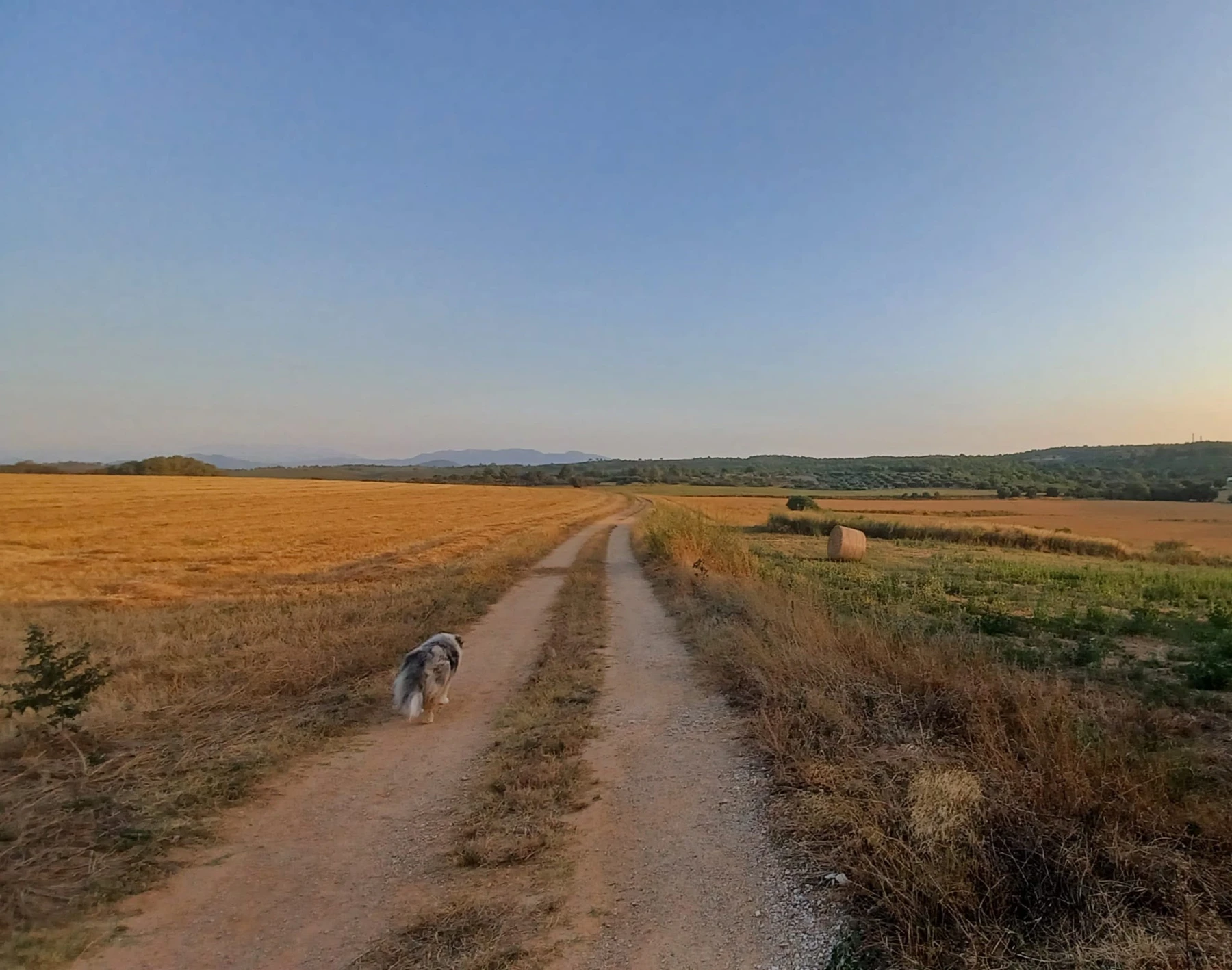 Camins de l’entorn