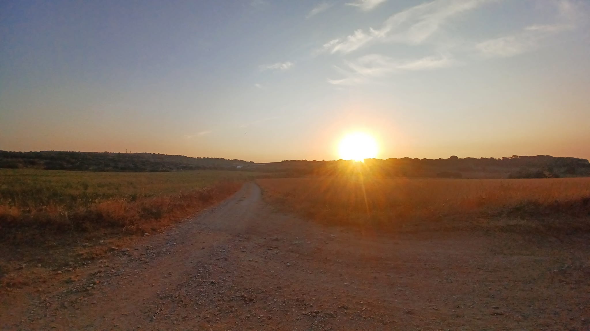 Posta de sol sobre un camí entre camps
